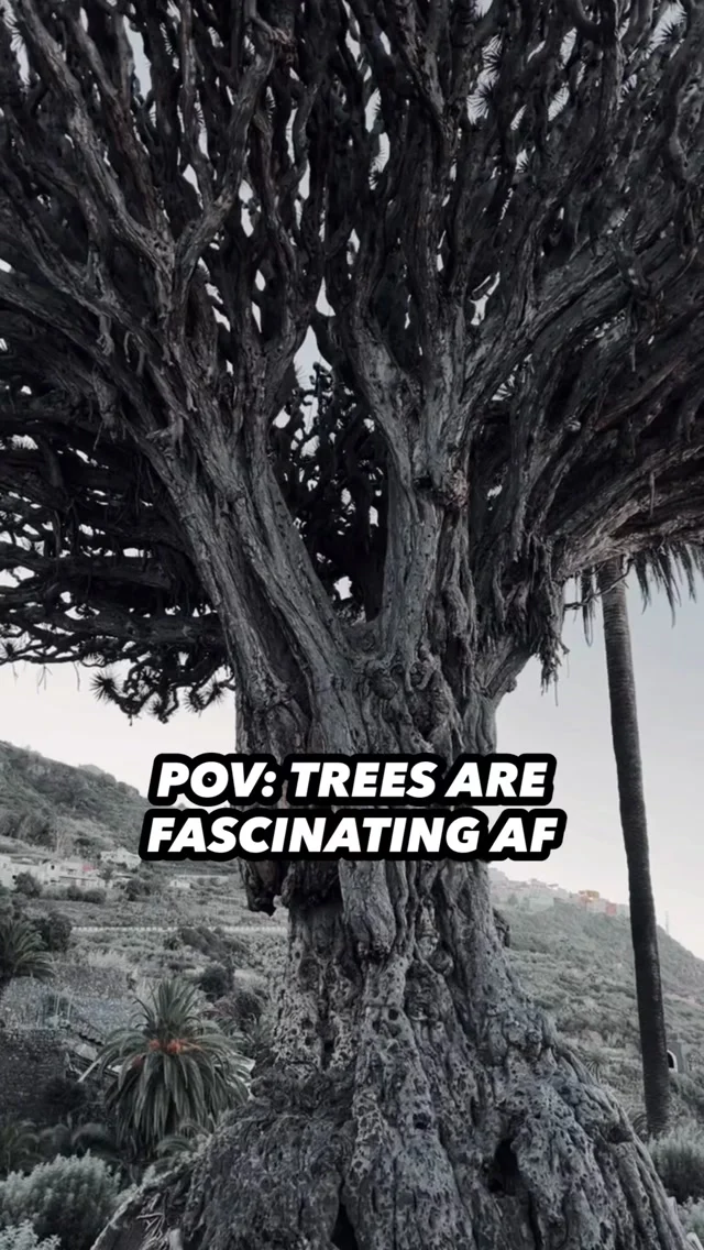 Instagram post from mrvnttt. This post is in position 1.